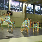 normal_24022013fmt_showdance2_ta_048.JPG
