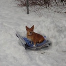 DSC00732.JPG