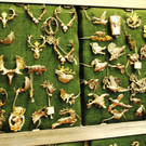 23022013jagdfischsbgat02008aktivnews001148.JPG