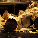 23022013jagdfischsbgat02008aktivnews001177.JPG