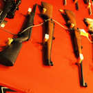 23022013jagdfischsbgat02008aktivnews001122.JPG