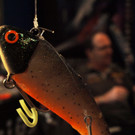 23022013jagdfischsbgat02008aktivnews001065.JPG