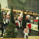 23022013jagdfischsbgat02008aktivnews001084.JPG
