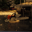 23022013jagdfischsbgat02008aktivnews001006.JPG
