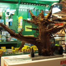 23022013jagdfischsbgat02008aktivnews001028.JPG