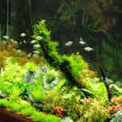 23022013jagdfischsbgat02008aktivnews001026.JPG