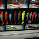 23022013jagdfischsbgat02008aktivnews001001.JPG