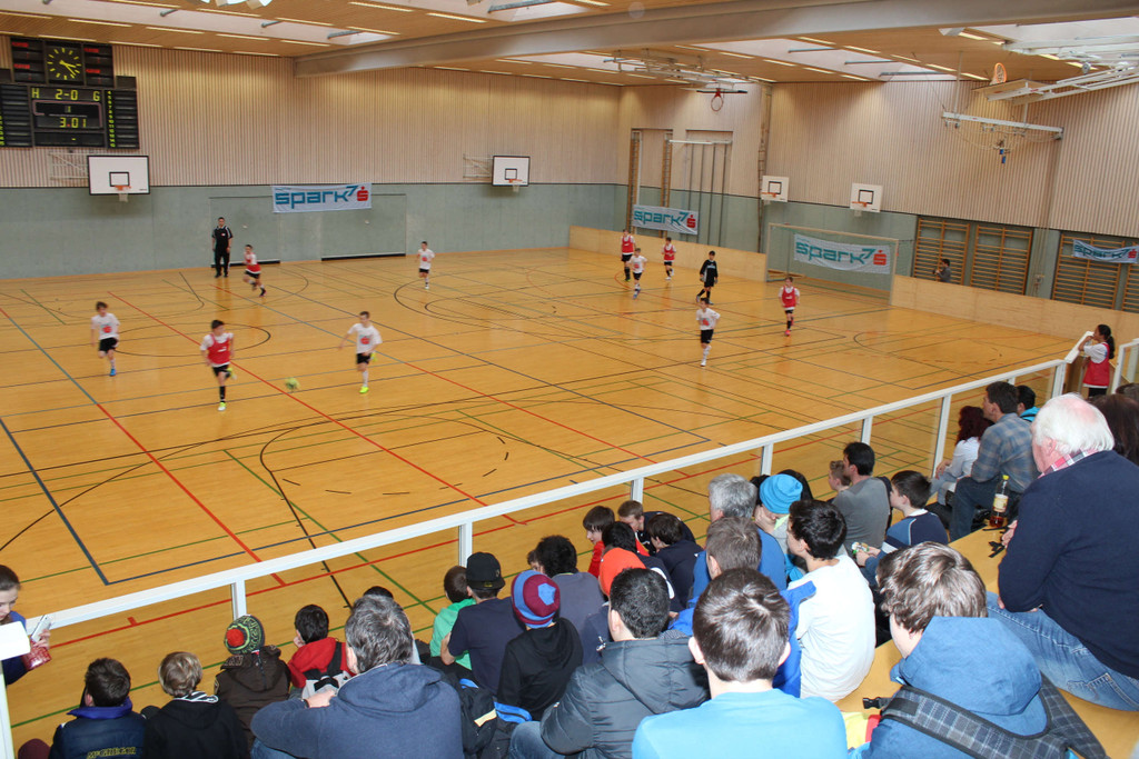 IMG_0253_jpg-1361782592