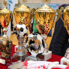 IMG_0259_jpg-1361782623