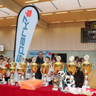 IMG_0261_jpg-1361782634