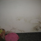 Haus4.jpg