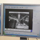 IBD0192-20130218.jpg