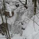 2013-02-24 15_14_58_jpg-1361794124