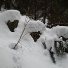 2013-02-24 15_16_55_jpg-1361794128