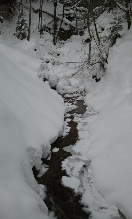 2013-02-24 15_26_50_jpg-1361794142