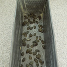 Februar 23 037.JPG