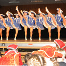 Gardegala H__chst 1 23-02-2013 154_jpg-1361800090