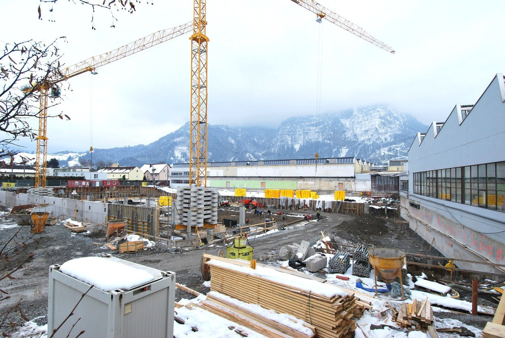 DSC_0037ab-1.jpg