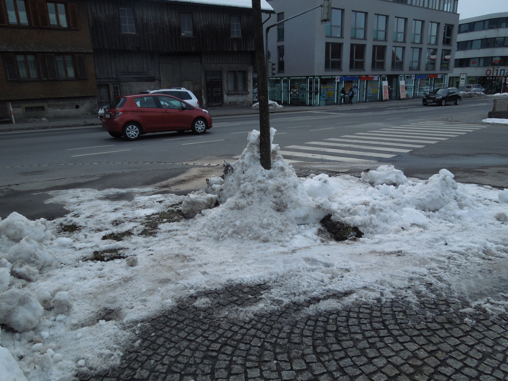 Februar 23 013.JPG