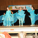 Gardegala H__chst 1 23-02-2013 228_jpg-1361804529