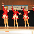 Gardegala H__chst 1 23-02-2013 112_jpg-1361805434