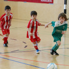 IMG_1718_jpg-1361805925