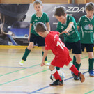 IMG_1835_jpg-1361806218
