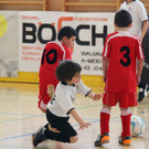 IMG_1872_jpg-1361806407
