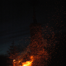 DSC_9917.JPG