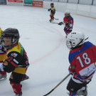 Ballschule und Hockey Wangen 2013 050_JPG-1361812981