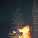DSC_9920.JPG