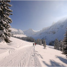 20130223_hahnenk_163_luc.JPG