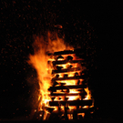 DSC_9931.JPG