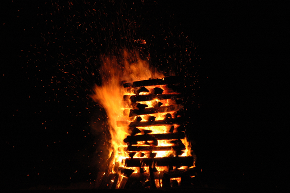 DSC_9931.JPG