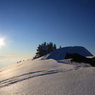 IMG_9450_jpg-1361861527