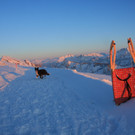 IMG_9484_jpg-1361861652