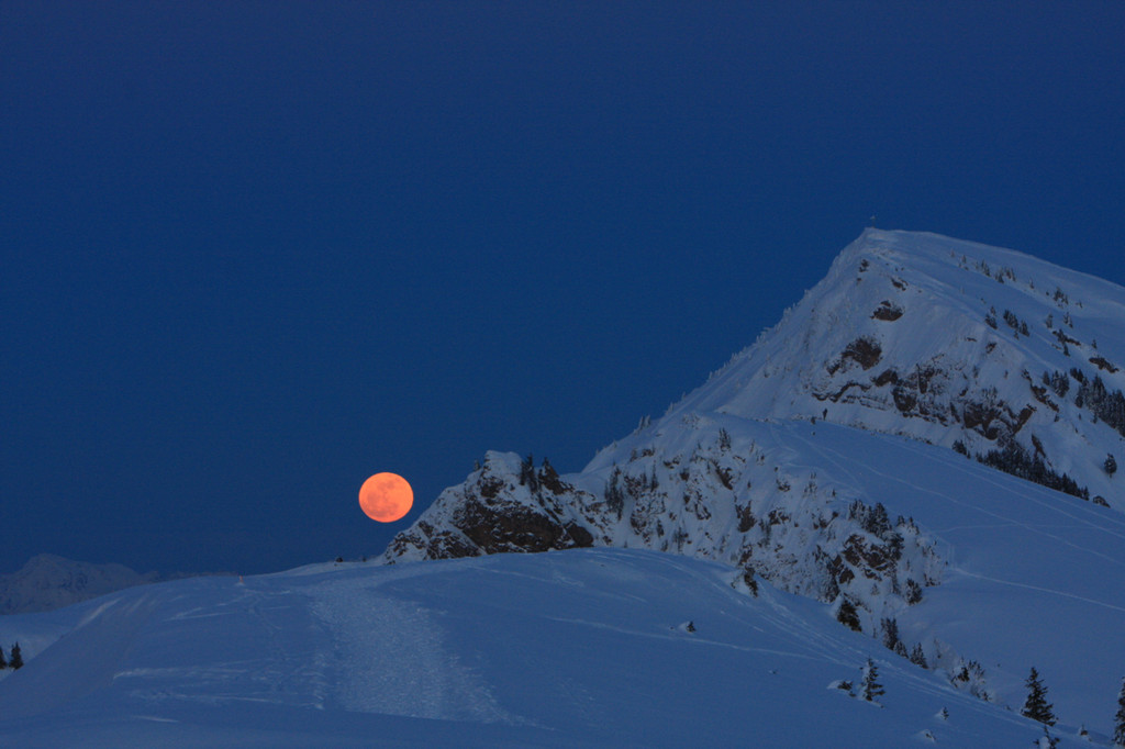 IMG_9517_jpg-1361861805