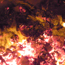 100_4479.jpg