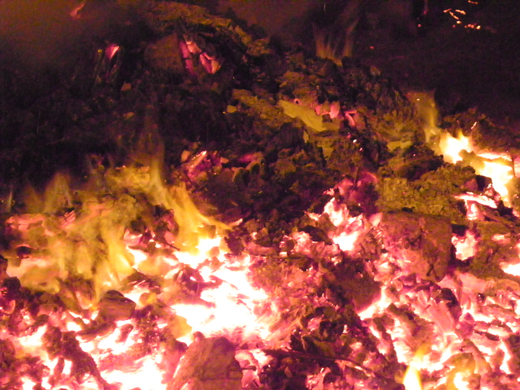 100_4479.jpg