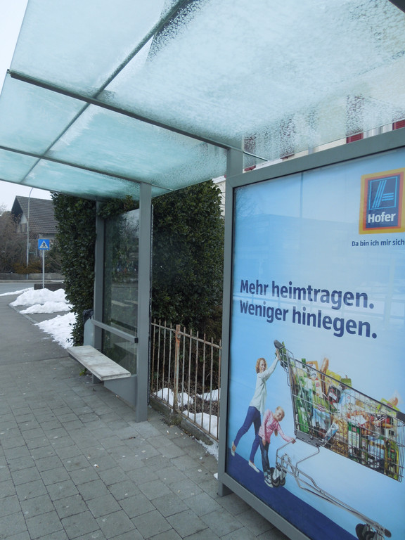 Februar 26 007.JPG