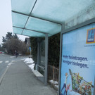 Februar 26 010.JPG