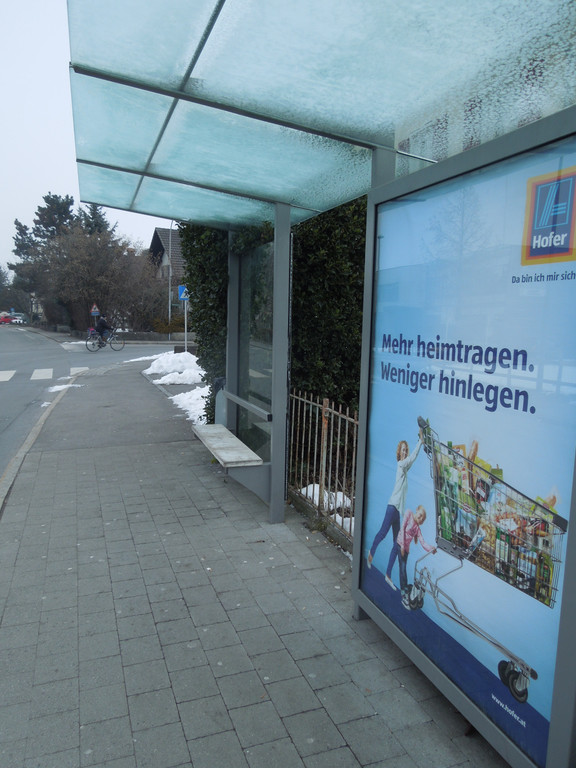 Februar 26 010.JPG