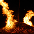 100_4517.jpg