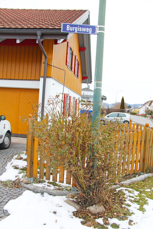 Burgisweg1_JPG-1361878022