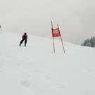 088-crop.JPG