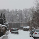 26022013winterimpressionende_04_002aktivnews__29_.JPG