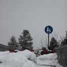26022013winterimpressionende_04_002aktivnews__22_.JPG