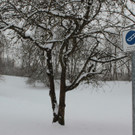 26022013winterimpressionende_04_002aktivnews__8_.JPG
