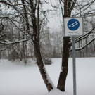 26022013winterimpressionende_04_002aktivnews__10_.JPG