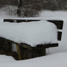 26022013winterimpressionende_04_002aktivnews__4_.JPG